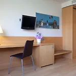 Hotel Daniya 3*