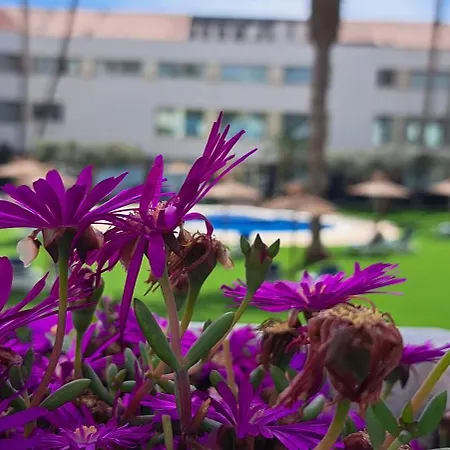 Hotel Daniya Alicante